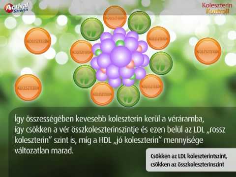 magas vérnyomás és a vér koleszterinszintje A hipertónia 5 oka