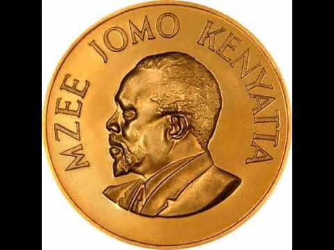 Isaya Mwinamo- Lipa kodi ya city council