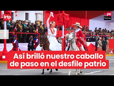 Fiestas Patrias 2025 Parade: The elegance of the Peruvian Paso horse shines on Avenida Brasil