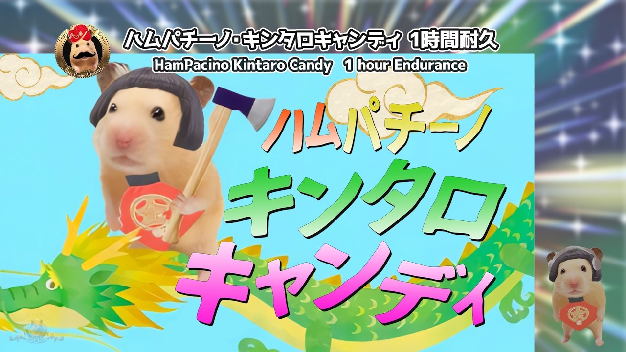 HamPacino Kintaro Candy 1 hour Endurance - ハムパチーノ・キンタロキャンディ 1時間耐久動画