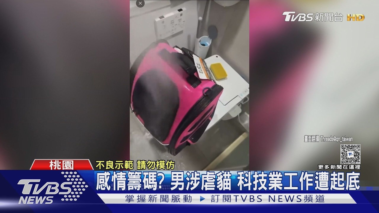 影音/與女友吵架洩憤!科技男「水柱狂沖貓咪」虐待 惡劣行徑曝