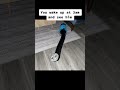 Long Thomas Pays A Visit