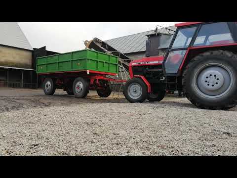 💥2 część 💥Załadunek zboża 💥Na przyczepę 💥