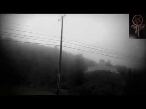 Charlie - Reefer Tomb