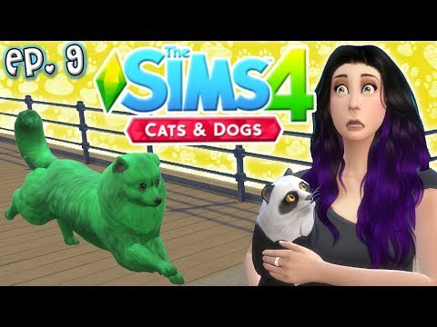 Joel Ran Away?! - The Sims 4: Raising YouTubers PETS - Ep 9 (Cats & Dogs)