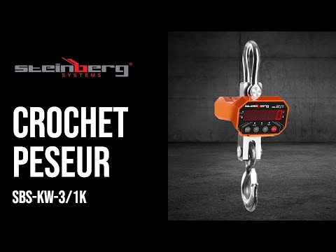 Vidéo - Balance suspendue - 3 000 kg/1 kg - LED - avec télécommande 20 m