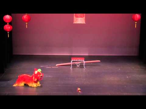 Lion Dance