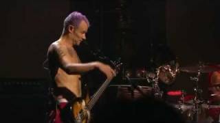 Red Hot Chili Peppers - Dance, Dance, Dance - Live Cologne alemanha Germany 2011