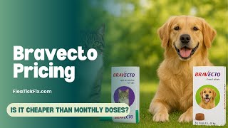 Bravecto Pricing: Is It Cheaper Than Monthly Doses