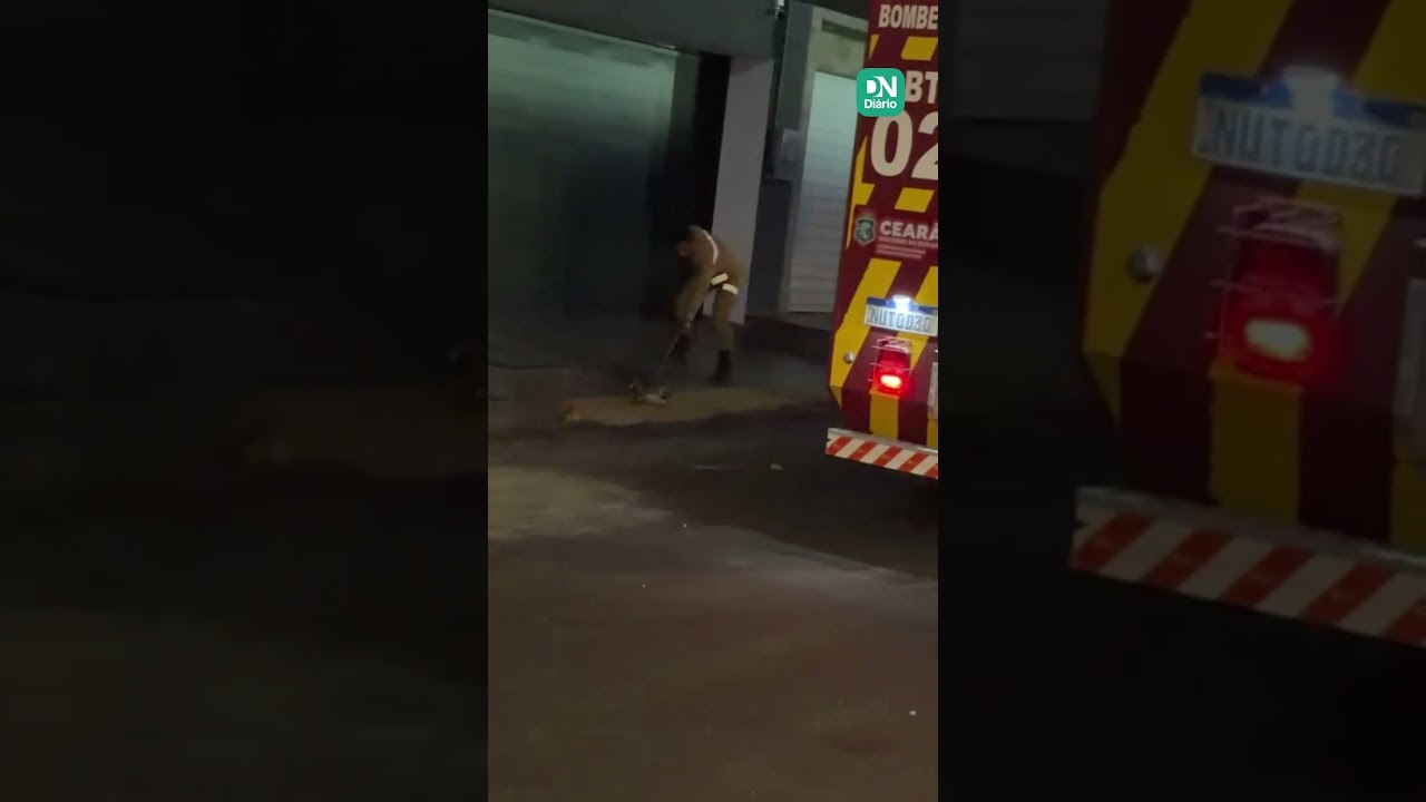 Imagem da notícia Jacaré é resgatado em porta de casa e devolvido ao habitat natural em Crateús