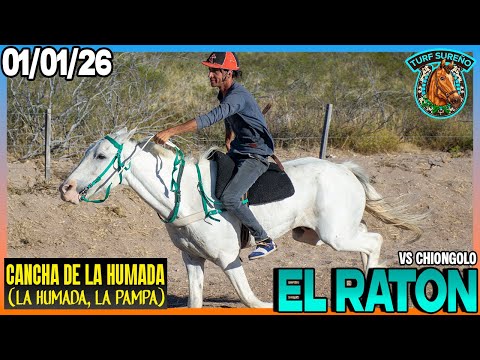 EL RATON (01/01/26) FESTIVAL HIPICO en LA HUMADA (La Pampa)