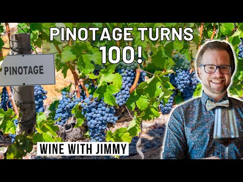100 Jahre Pinotage – Südafrikas charakteristische Rebsorte