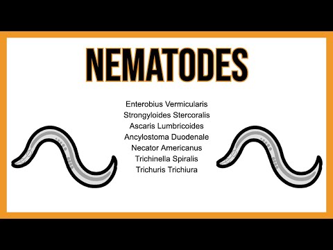 Nematodes (INTESTINAL parasites)