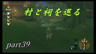 【ゼルダの伝説ブレスオブザワイルド】村巡り開始【実況プレイ】part39