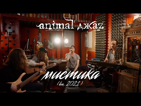 Animal ДжаZ — Мистика (Акустика, Live, 2021)