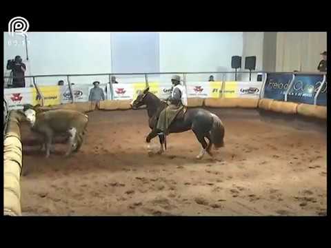 Classificatória Região Sul – 4° lugar fêmeas – Viragro Tirana (Prova: Mangueira II)