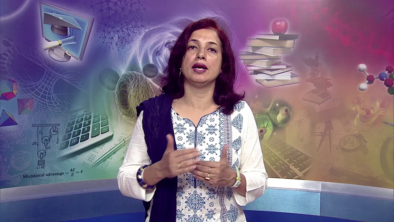 Lesson 5 Data Communication and Networking