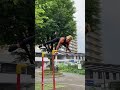 公園で超人トレをするボディビルダー現る。#shorts