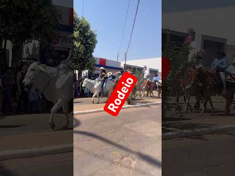 Rodeio em Pedra Preta MT #fypp #memes #viraliza #matogrosso #lia #rodeio #cavalgada #festadopeão