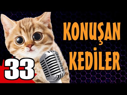 Konuşan Kediler 33 - En Komik Kedi Videoları