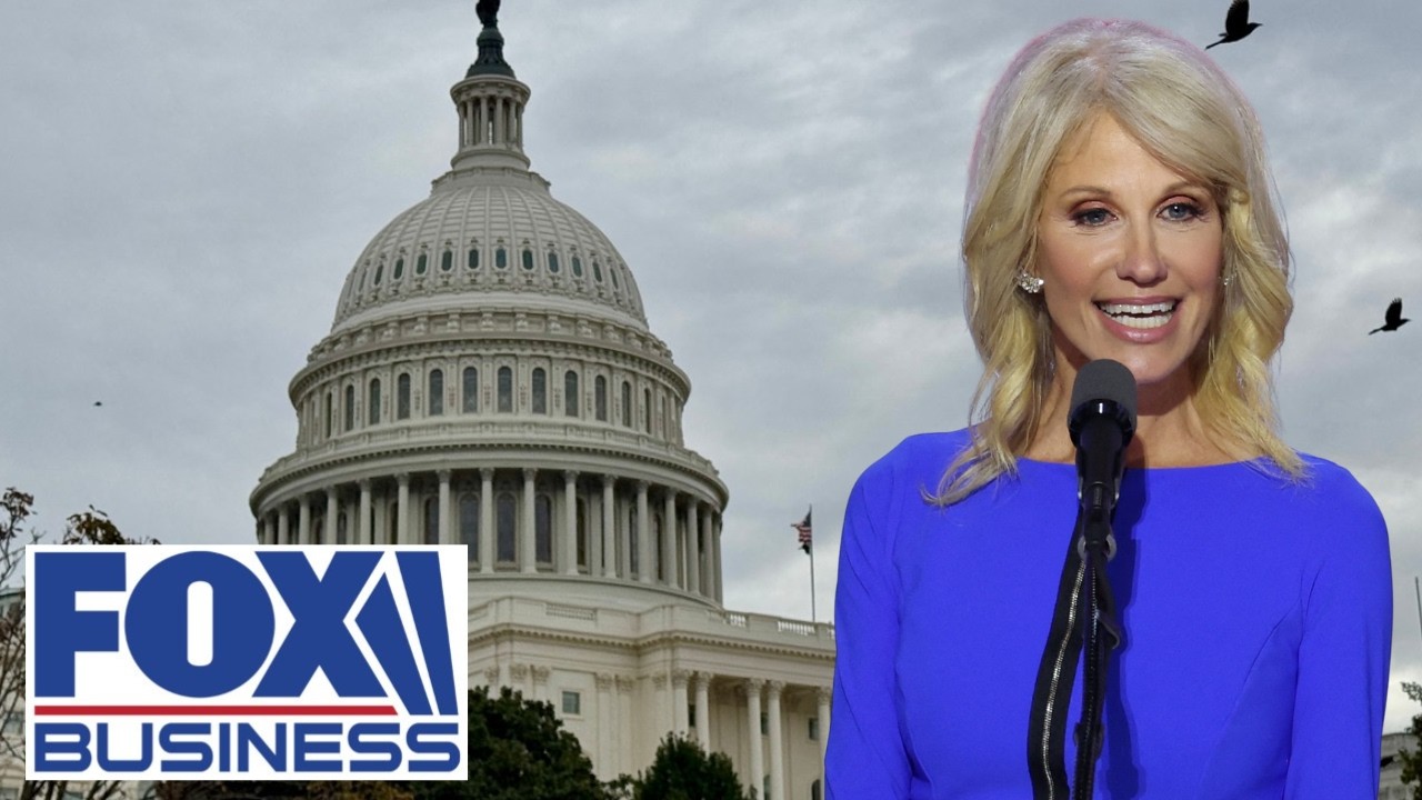 ‘PETTY’: All Dems know is ‘be against Trump,’ Kellyanne Conway says