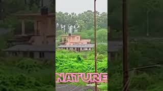 #nature videos status।forest Nature video। Nature mind fress,😇#beautiful nature whatsapp status..