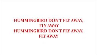 Hummingbird-Seals &amp; Crofts avi. karaoke
