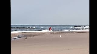 オランダのアザラシ🦭専用海岸🌊アザラシ幼稚園、ピーターブーレンのアザラシ保護隊車