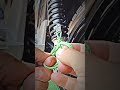 EASY Way To Fix Your Bike S Rear SHOCKABSORBER Shorts Ytshorts Reels Bikerepair