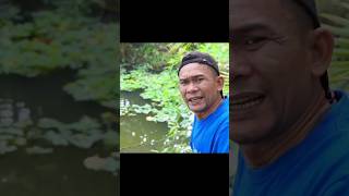 Download lagu SUAPIN IKAN #ngakak #atoklabu mp3