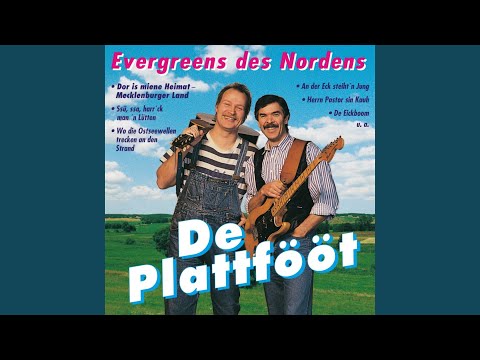 Herrn Pastor Sin Kauh