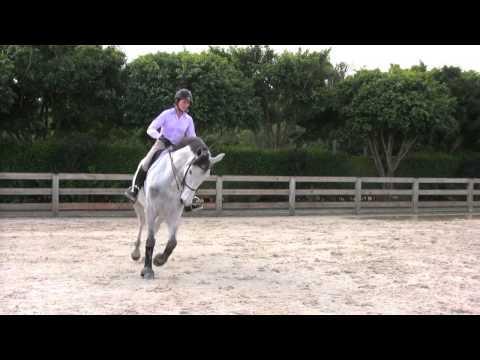 Cynthia Hankins Favorite Exercises on the Flat