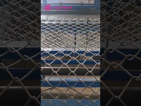 Galvanized Iron Chain Link Fencing