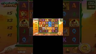 Safari King 🦁Jili Slot Game Today Big Win🎰Jili Slot Game