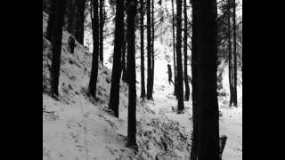 The Nights are Cold- Richard Hawley