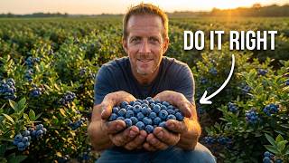 The Complete Blueberry Growing System: From Planting to Harvest