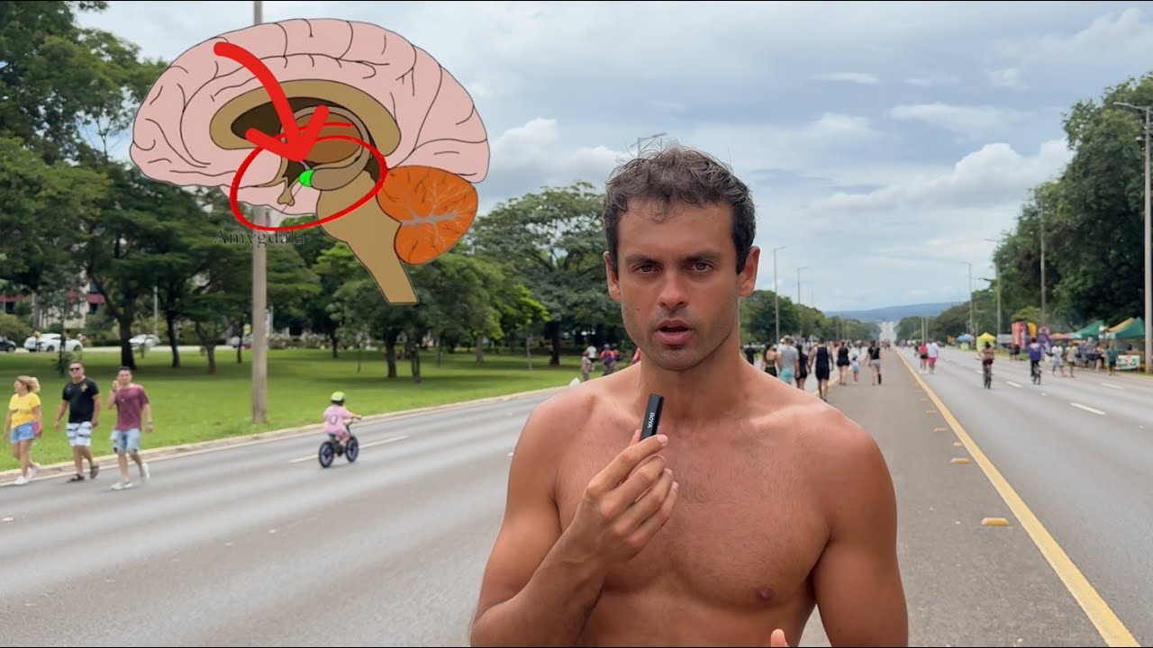 Pontos-chave para DESATIVAR a resposta de MEDO E ANSIEDADE (neurônios-espelho)