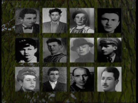 Memorialul Durerii 2