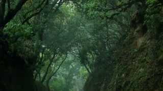 Sintra - Back to the source of the inspiration