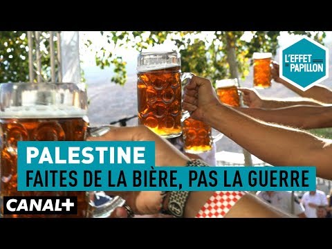 Palestine : Faites de la bière, pas la guerre - L’Effet Papillon – CANAL+