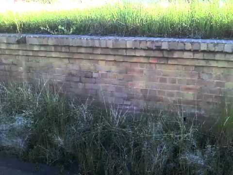 disused railway platform