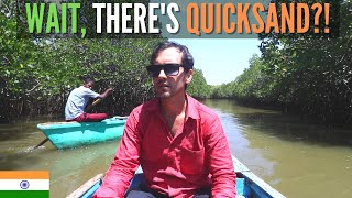 World's 2ND LARGEST Mangrove Forest: Pichavaram | Day Trip From Chennai | Foreigner in India