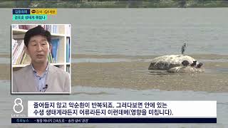 [G1뉴스]해조류 확산..