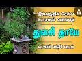 துளசி தாயே இல்லத்தில் செல்வங்கள் தரு