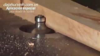 Máy router lưỡi dưới TR-60 Taichan