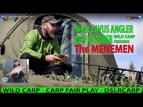 Wild Carp Fishing - Ekim 2017