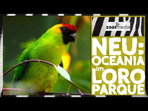 Loro Parque: OCEANIA | zoos.media