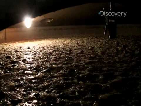 download lagu mp3 mp4 Jack Daniels Tennessee Fire Sugar, download lagu Jack Daniels Tennessee Fire Sugar gratis, unduh video klip Jack Daniels Tennessee Fire Sugar