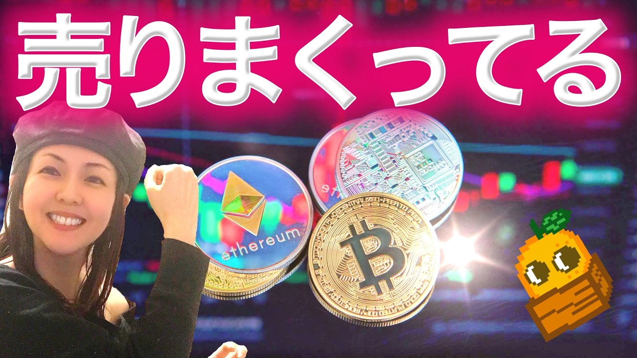 このコインたちを空売りしてる サナエトークンとクソ金融庁