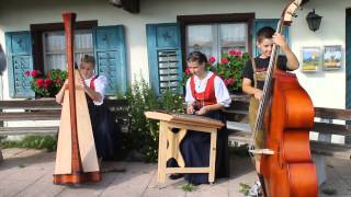 preview picture of video 'Saitenziacher am Bergdoktorhaus Wildermieming'